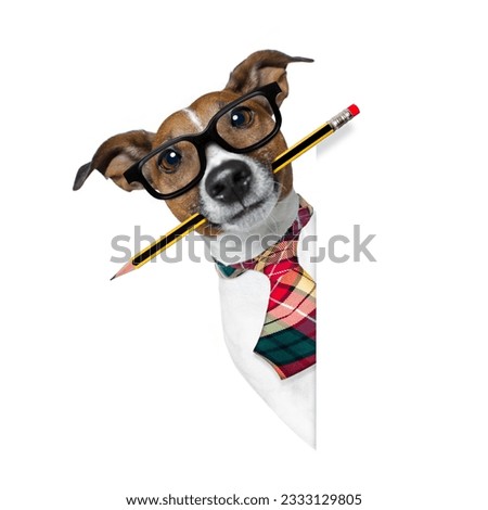 jack russell dog with pencil or pen in mouth wearing nerd glasses for work as a boss or secretary , isolated on white background, behind blank banner or placard