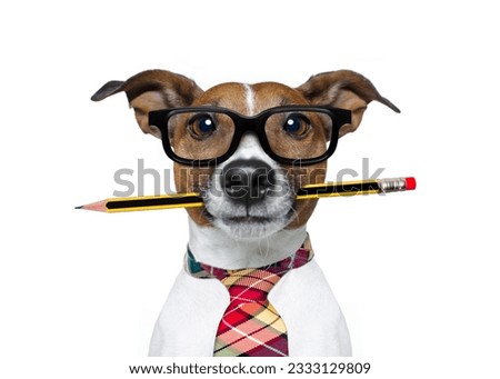 jack russell dog with pencil or pen in mouth wearing nerd glasses for work as a boss or secretary , isolated on white background