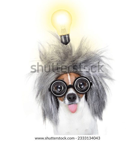smart and intelligent jack russell dog with nerd glasses wearing a grey hair with an idea with light bulb , isolated on white background