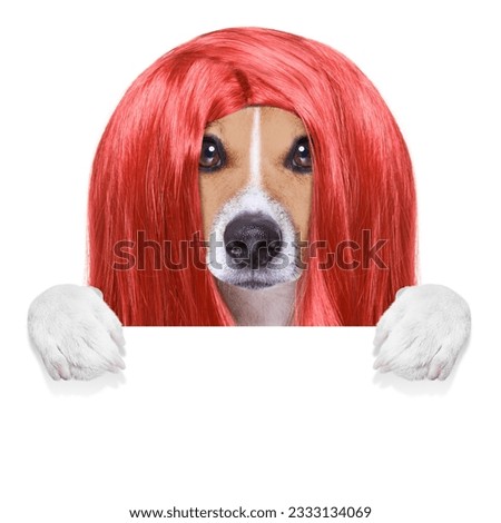 hairdresser dog ready to look beautiful by comb, scissors, dryer, and spray at the wellness spa salon, isolated on white background behind a white banner or placard poster