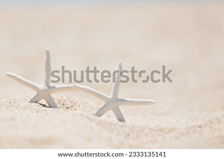 close-up of two starfish in the sand at the beach, vacation concept