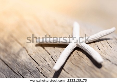 starfish on wooden texture with sun flare, vacation concept