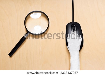 dog paw clicking on a pc computer mouse, searching , and looking online in internet finding information , isolated on wood desk