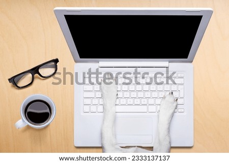 jack russell dog office worker , black glasses typing in a pc computer laptop, isolated on desk background, coffee mug on table