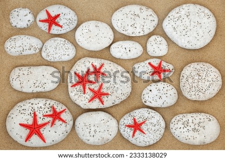 Abstract beach background on sand with starfish and white stones with bore holes made by bivalved molluscs.