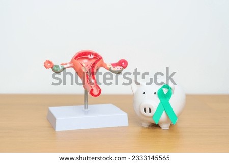 September Ovarian cancer Awareness month. Uterus model and Teal Ribbon with Piggy Bank for support illness life. Health, Donation, Charity, Campaign, Money Saving, Fund and World cancer day concept