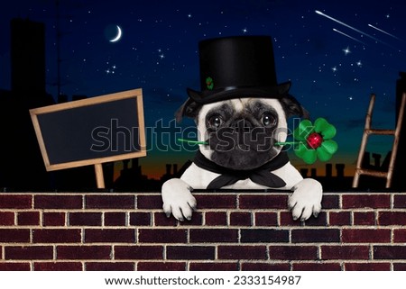 pug dog as chimney sweeper with four leaf clover behind wall banner or placard, celebrating and toasting for new years eve