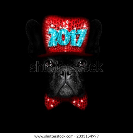 french bulldog dog dressed with new years eve hat for christmas holidays isolated on black dark dramatic background