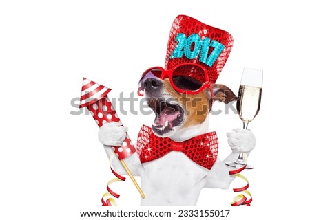 jack russell dog celebrating 2017 new years eve with champagne glass and singing out loud, with a fireworks rocket , isolated on white background