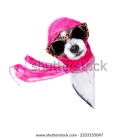 chic fashionable diva luxury cool dog with funny sunglasses, scarf and necklace, isolated on white background, behind banner or placard