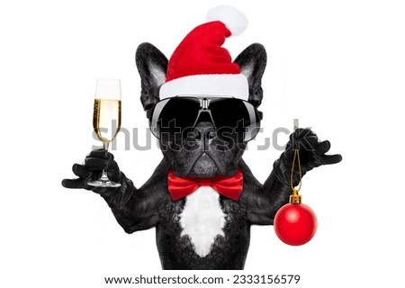 santa claus french bulldog dog toasting xmas cheers with champagne glass and victory or peace fingers, for christmas holidays isolated on white background