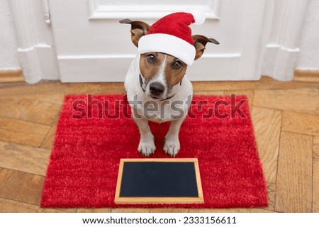 jack russell dog waiting a the door at home with leather leash, ready to go for a walk with his owner for christmas holidays with blackboard placard banner with red santa claus hat