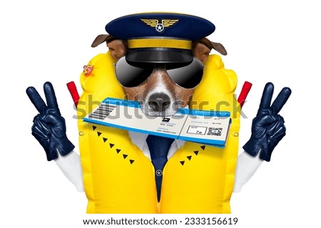 jack russell airline pilot or flight attendant dog , with check in boarding pass ticket in mouth , isolated on white background, peace and victory fingers