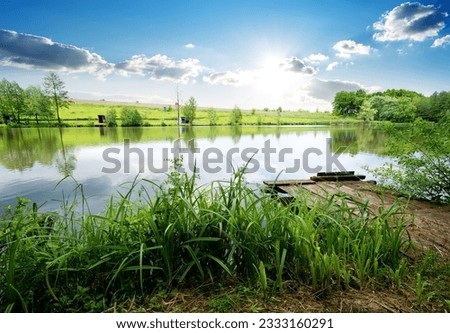 Wooden fishing pier in green grass on river