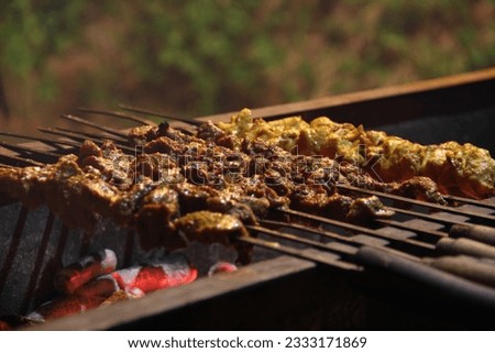 Picture of BBQ  on coals.