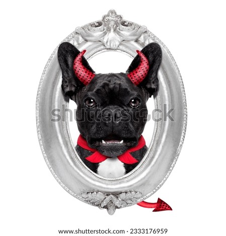 halloween devil french bulldog dog inside a grey silver frame on the wall, isolated on white background