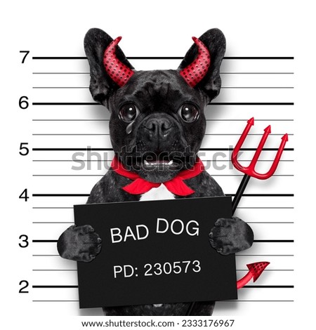 halloween devil pug dog crying in a mugshot, caught on with photo camera, in police station jail