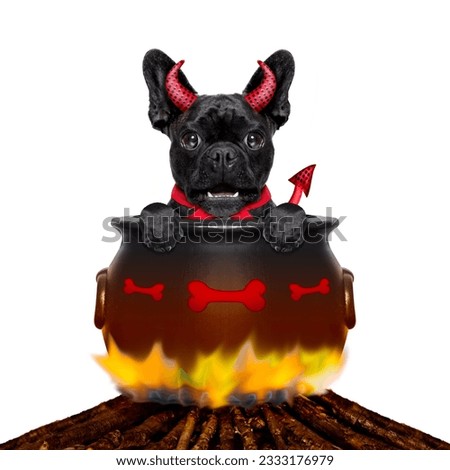 french bulldog halloween devil dog burning inside a boiler on a bonfire like a witch, isolated on white background