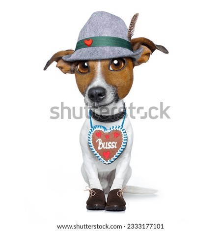 bavarian german jack russell dog with gingerbread and hat, isolated on white background , ready for the beer celebration festival in munich