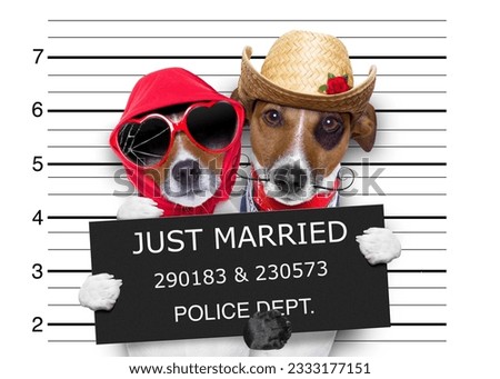 couple of newlywed just married of dogs in a mugshot as criminals posing together forever in jail