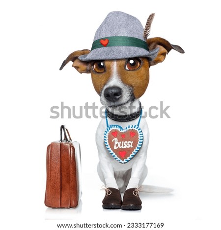 bavarian german jack russell dog with gingerbread and hat, isolated on white background , ready for travel on vacation holidays with bag and luggage