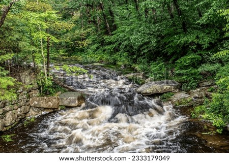 willard brook in willard brook state forest in ashby massachussets   above  volume  due to several days of rain Royalty-Free Stock Photo #2333179049