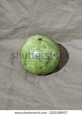 Guava fruit grown in tropics, picture use for design, advertising, marketing, business and printing