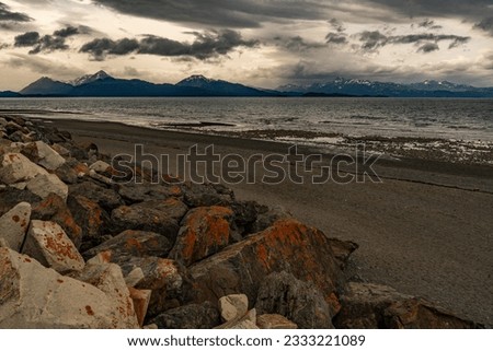 Alaska mountains, glacier, forest, view of Homer spit Royalty-Free Stock Photo #2333221089