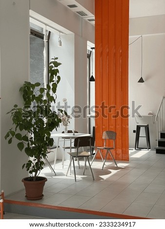 Bright coffee shop in a minimalist style