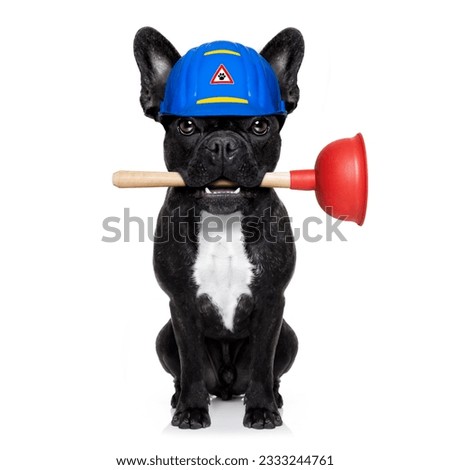 handyman french bulldog dog worker with helmet and plunger in mouth, ready to repair, fix everything at home, isolated on white background