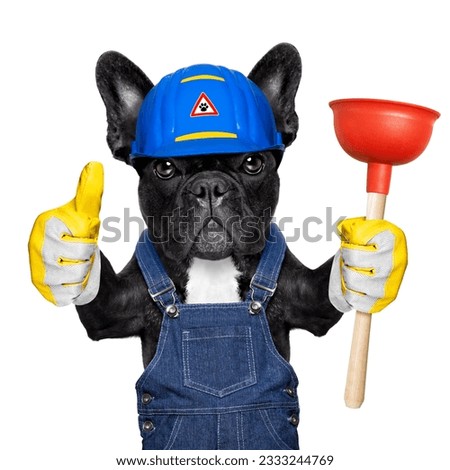 handyman french bulldog dog worker with helmet and plunger in hand, ready to repair, fix everything at home, isolated on white background , thumb up