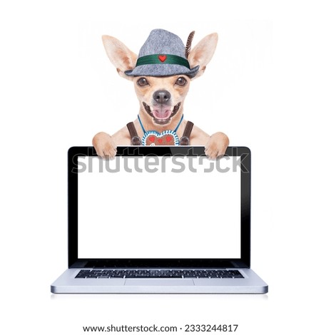 bavarian german chihuahua dog with gingerbread and hat,laptop pc screen computer display, isolated on white background , ready for the beer celebration festival in munich