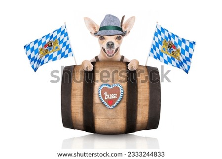 bavarian german chihuahua dog with gingerbread and hat, behind barrel, isolated on white background , ready for the beer celebration festival in munich