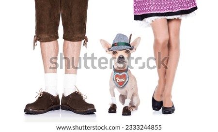 bavarian german chihuahua dog with bag and luggage, with owner , isolated on white background , ready for the beer celebration festival in munich
