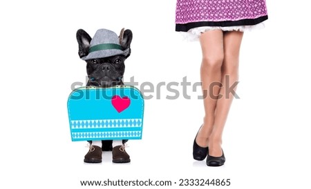 bavarian german bulldog dog with bag and luggage, with owner , isolated on white background , ready for the beer celebration festival in munich