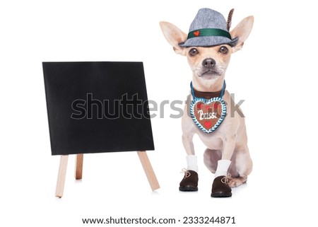 bavarian german chihuahua dog with gingergread , isolated on white background , ready for the beer celebration festival in munich, blackboard or placard to the side
