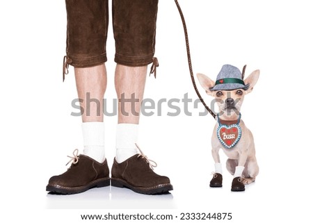 bavarian german chihuahua dog with bag and luggage, with owner and a leash , isolated on white background , ready for the beer celebration festival in munich