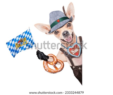 bavarian german chihuahua dog with gingerbread and pretzel, isolated on white background , ready for the beer celebration festival in munich