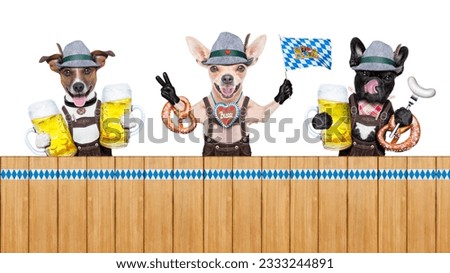 bavarian german row or group of dogs with pretzel, beer mug ,flag , sausage, and gingerbread heart, isolated on white background , ready for the beer celebration festival in munich