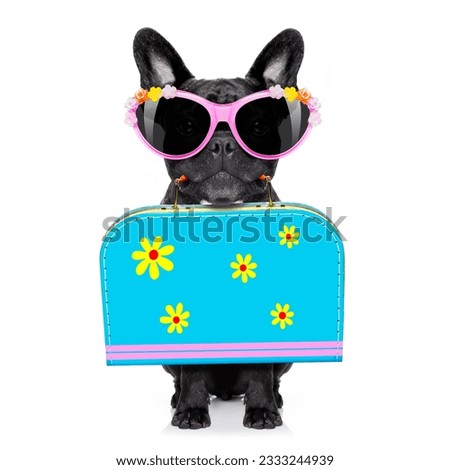 french bulldog dog with luggage bag , ready for summer vacation holidays, isolated on white background