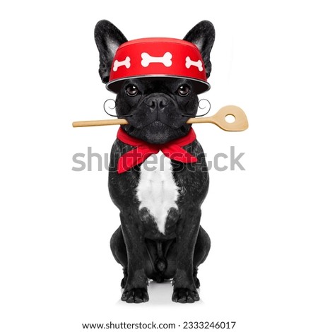 french bulldog dog chef cook with kitchen spoon in mouth, isolated on white background