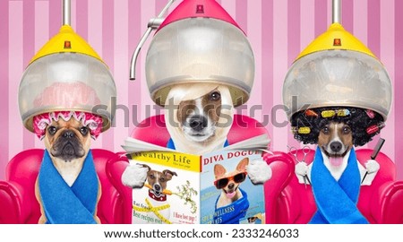 couple of dogs at the groomer or hairdresser, under drying hood,reading newspaper sitting on red chairs