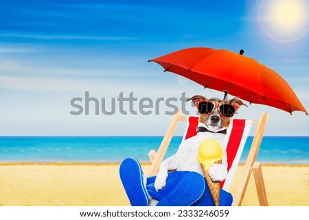 jack russell dog eating ice cream on a cone waffle on a beach chair or hammock with sunglasses on summer vacation holidays