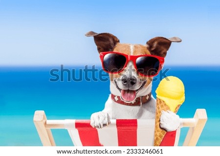 jack russell dog on hammock at the beach relaxing on summer vacation holidays, eating a fresh lemon or vanilla ice cream on a cone waffle