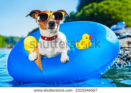 dog on blue air mattress in water refreshing on summer vacation holidays at the beach or river, eating ice cream in cone waffle