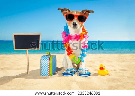 jack russell dog at the beach with a suitcase luggage or bag wearing sunglasses and flower chain at the ocean shore on summer vacation holidays