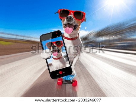 jack russell terrier dog riding a skateboard as a skater , with sunglasses in summer vacation close to the beach, taking a selfie with smartphone