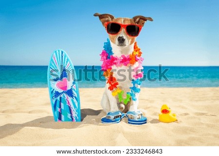 jack russell dog at the beach with a surfboard wearing sunglasses and flower chain at the ocean shore on summer vacation holidays