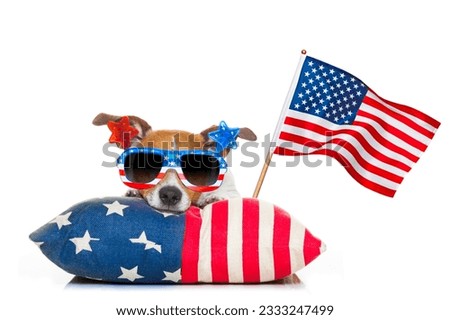 jack russell dog celebrating 4th of july independence day holidays with american flag and sunglasses, isolated on white background