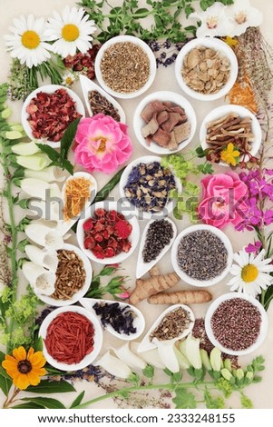 Large herb and flower selection used in traditional herbal medicine loose and in porcelain bowls over cream background.
